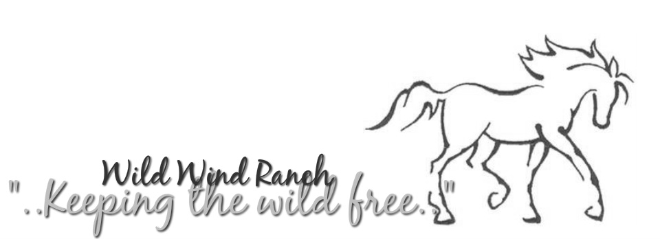 Wild Wind Ranch